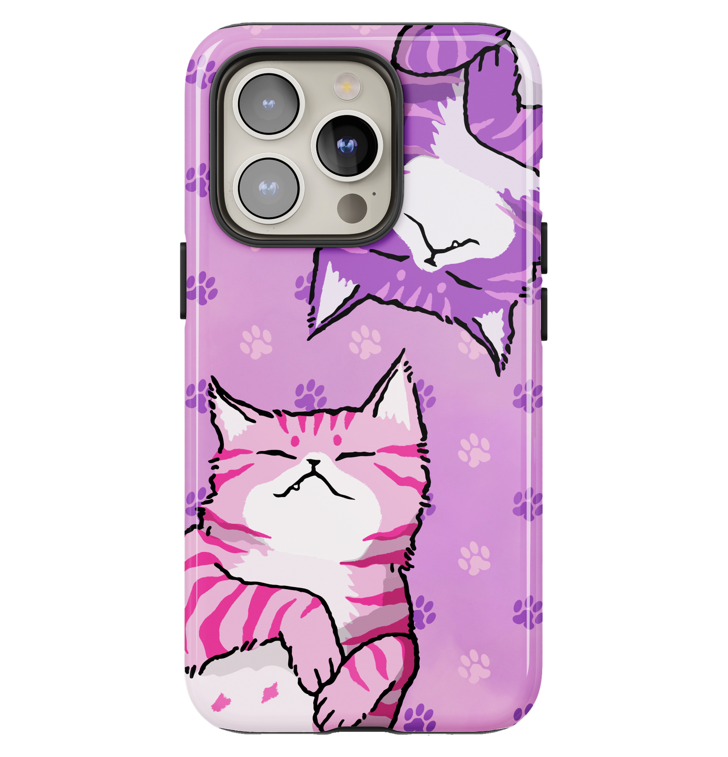 Feline Fun