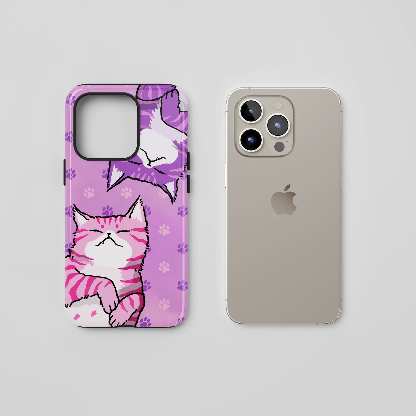 Feline Fun
