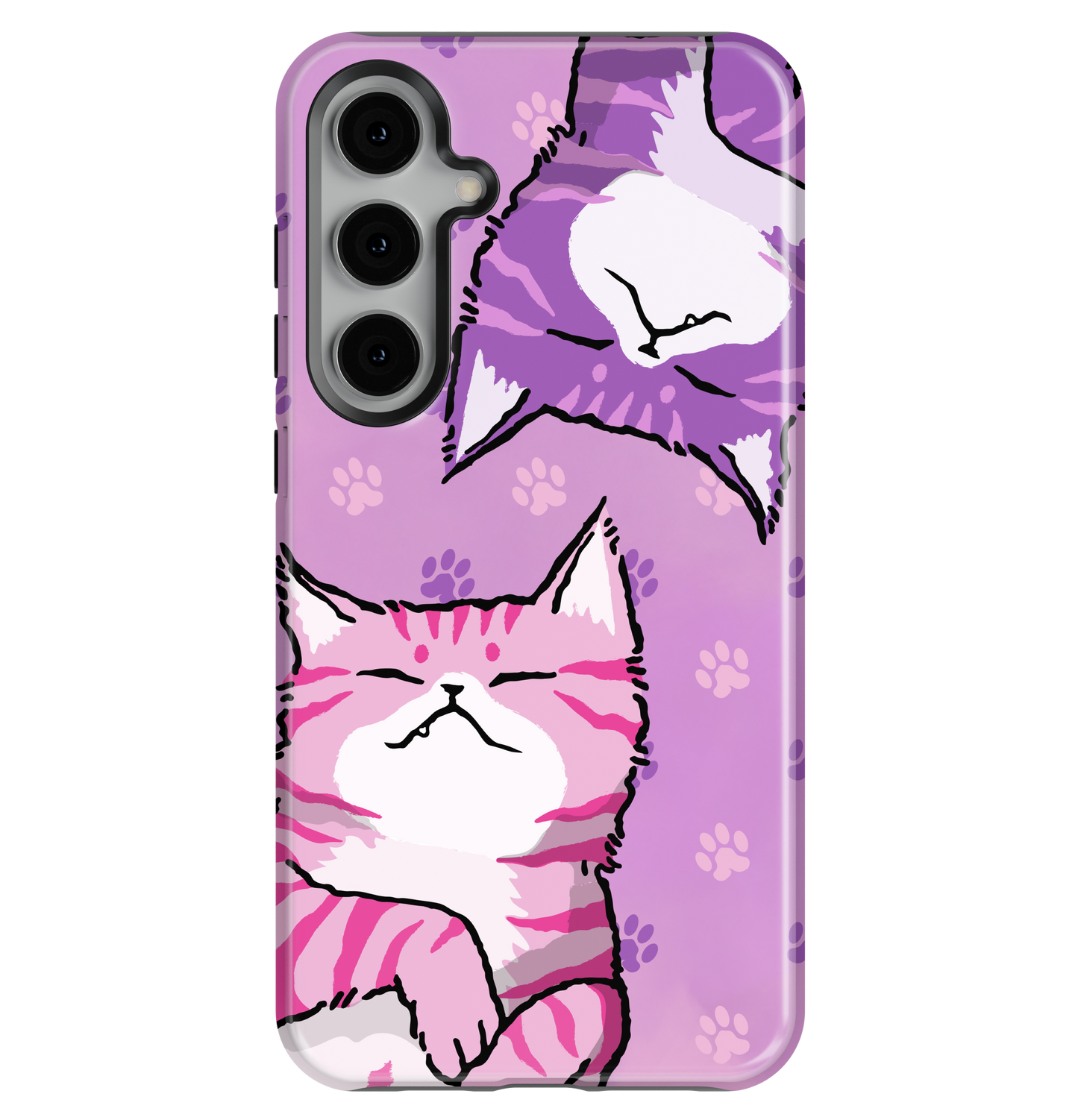 Feline Fun