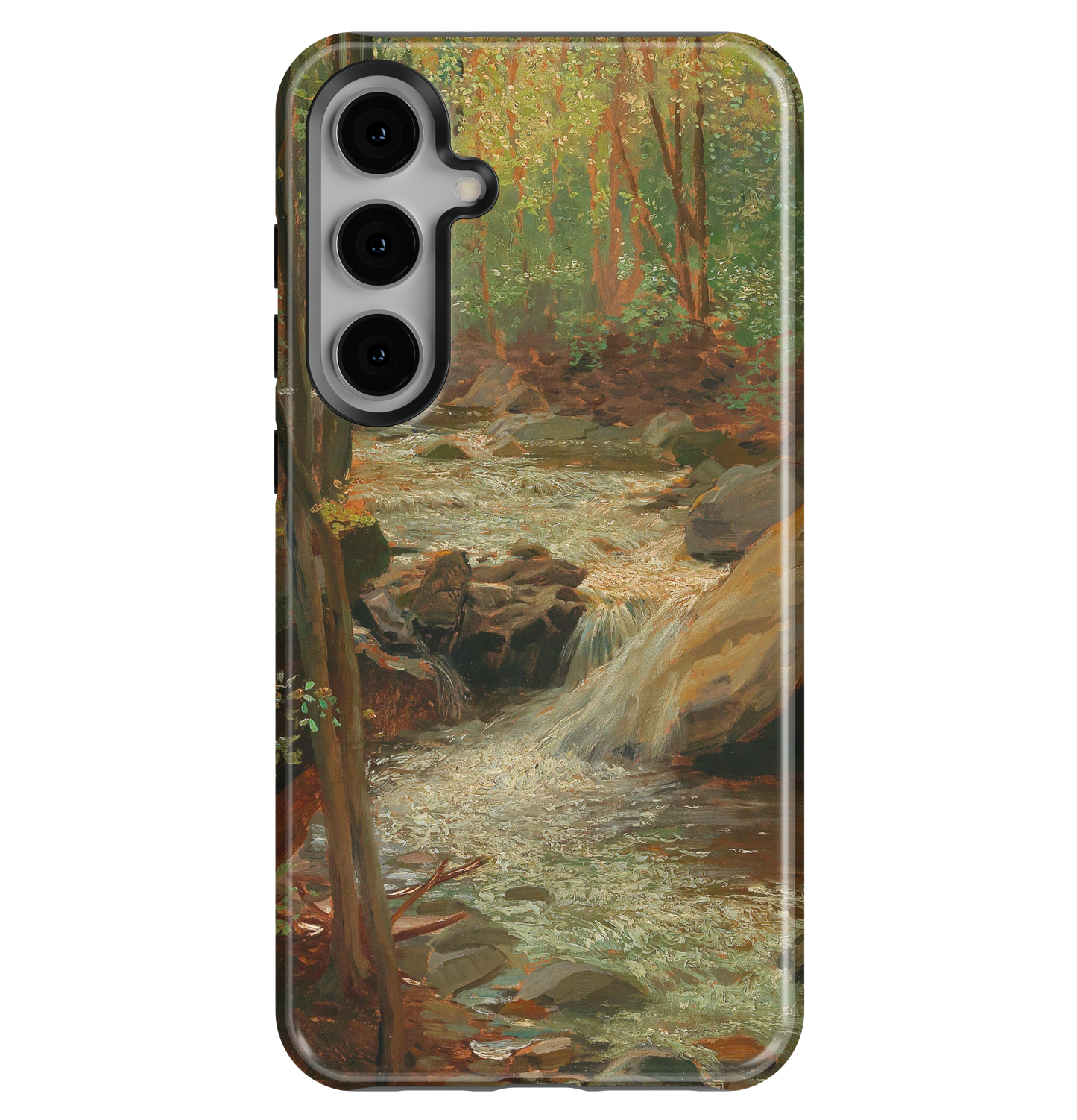 Woodland Wonder