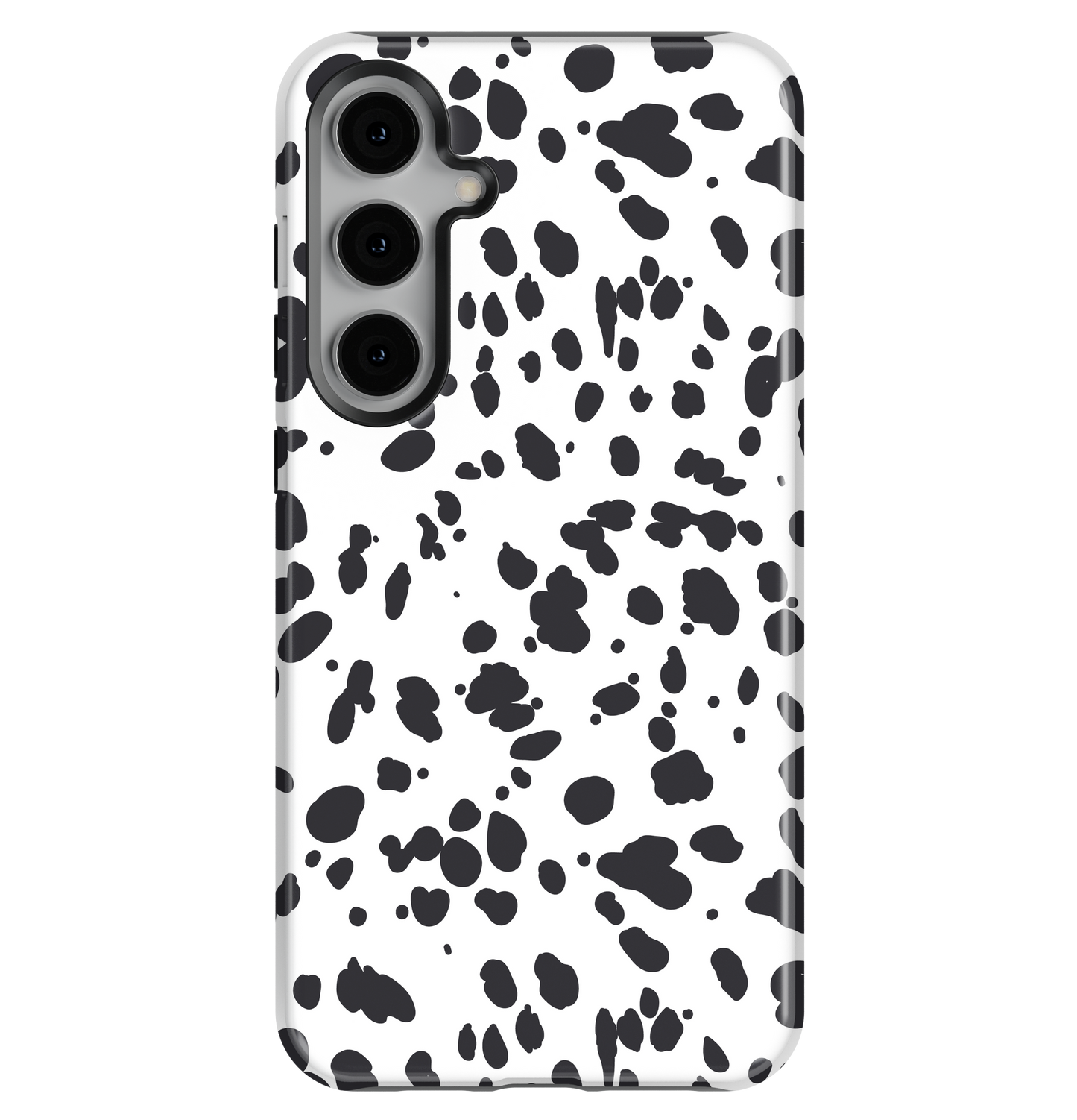 The Dalmation