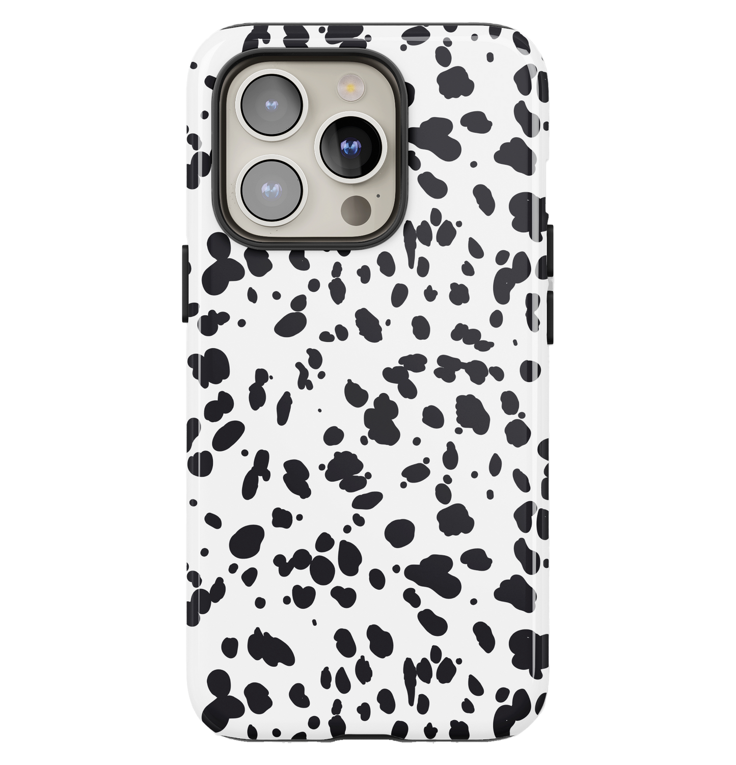 The Dalmation