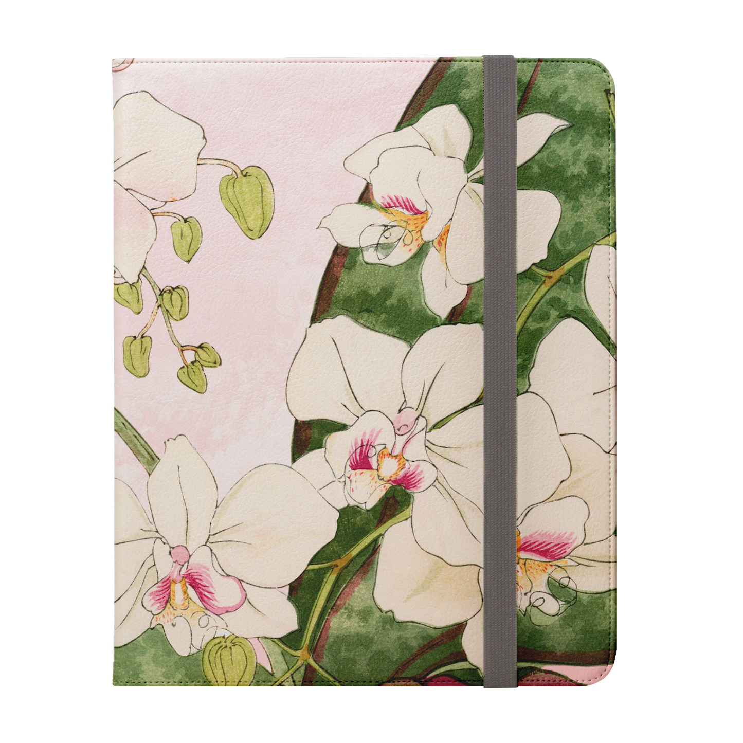 Phalaenopsis Charm
