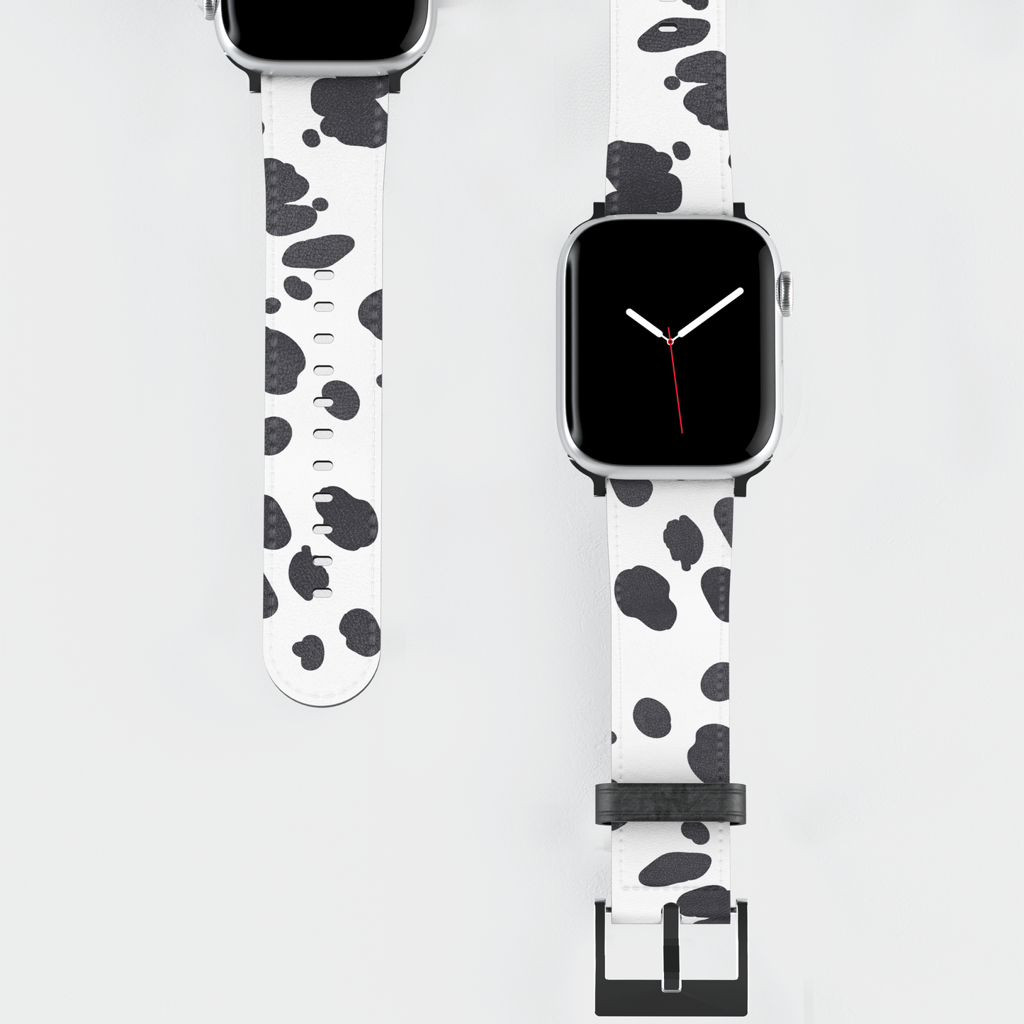 The Dalmation