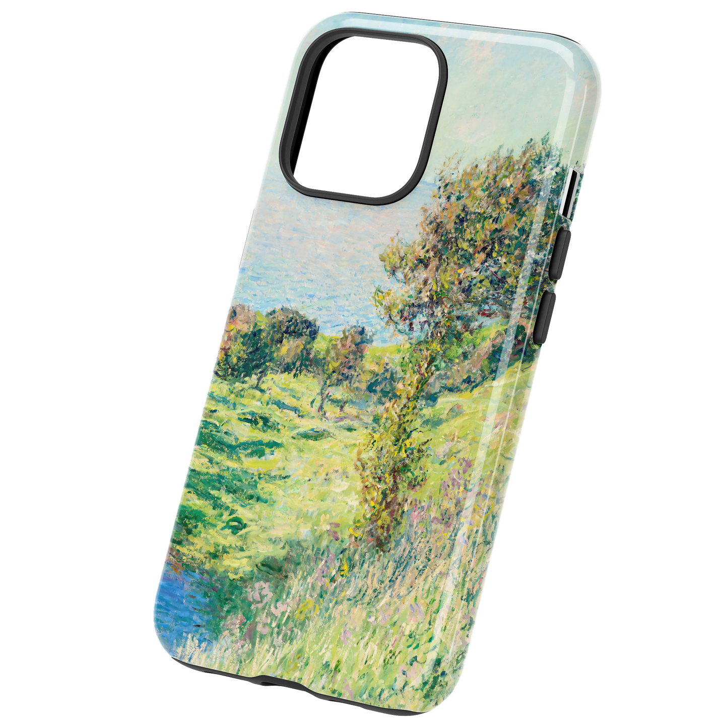 Monet's Meadow
