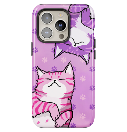 Feline Fun