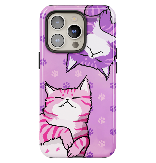 Feline Fun