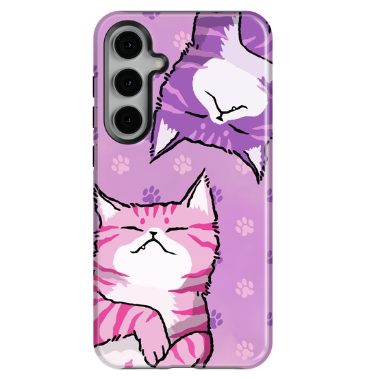 Feline Fun
