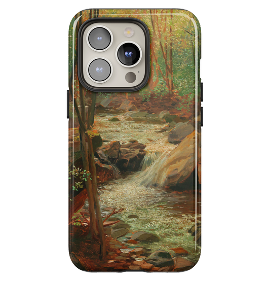 Woodland Wonder