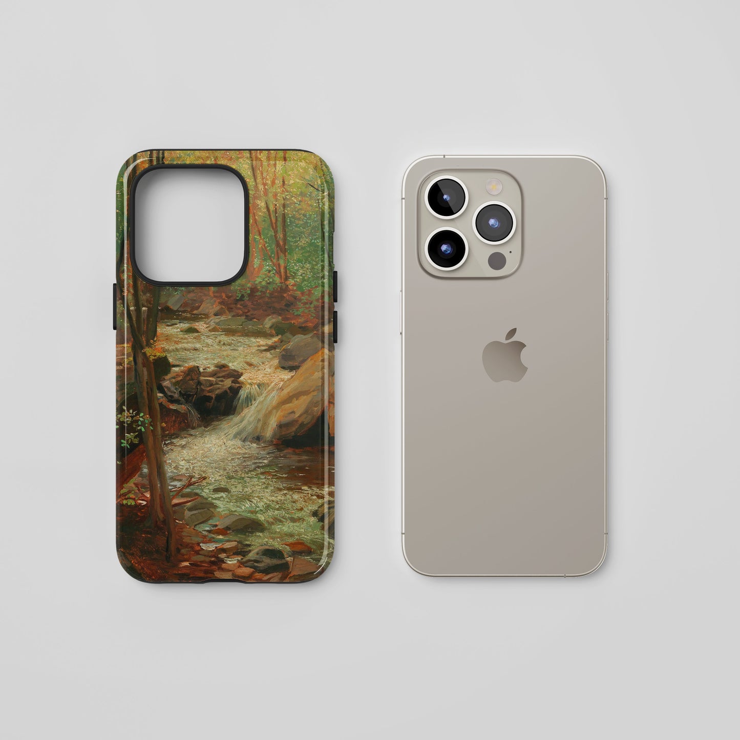 Woodland Wonder
