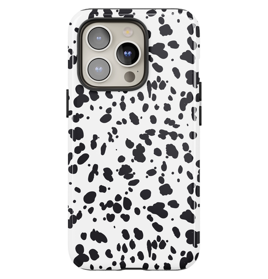 The Dalmation